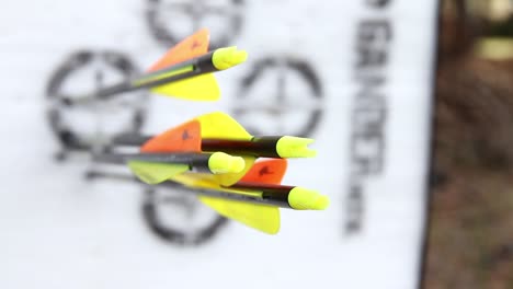 Group-of-four-arrows-with-yellow-and-orange-fletchings-in-a-black-and-white-target