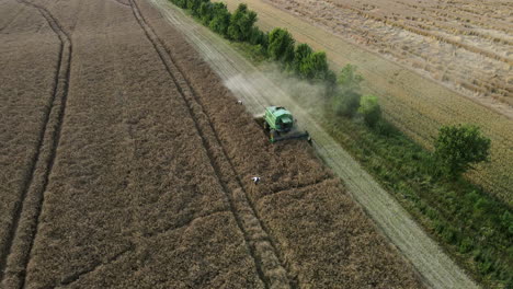 Drohnenaufnahme-Von-Weißstörchen,-Die-Um-Landwirtschaftliche-Mähdrescher-Herumfliegen,-Während-Sie-Braune-Weizenfelder-Ernten