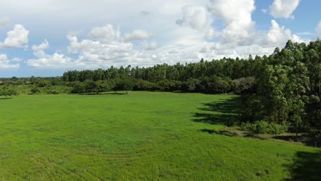 View-of-a-drone-on-a-meadow-that-has-some-trees-that-are-moved-by-the-determined-wind-in-the-background-of-the-image,-also-sees-the-sky-with-its-white-clouds-and-blue-background