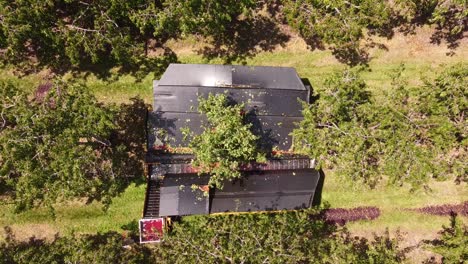 Cherry-Harvesting-Using-An-Equipment-In-Leelanau-County-Michigan,-Traverse-City-During-Cherry-Festival---Aerial-Shot