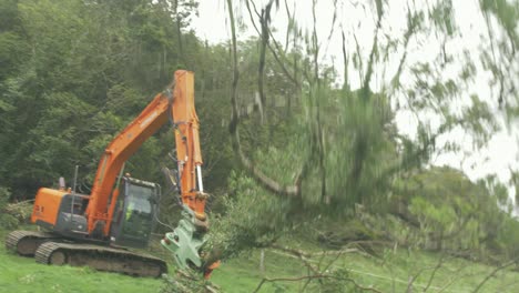 Excavator-with-tree-shear-swings-and-drops-large-tree