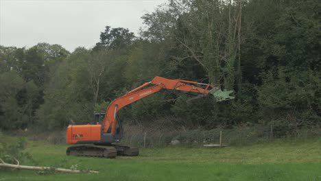 Excavator-with-tree-shears-attachment-cuts-tree-and-drops-on-pile