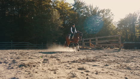 Horse-and-rider-walk-in-slow-motion-in-a-sand-arena-during-sunset