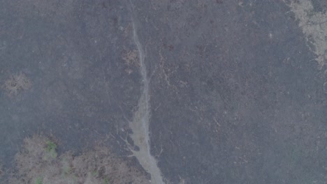 Aerial-of-Pantanal-biome-after-fires,-everything-black-and-burnt
