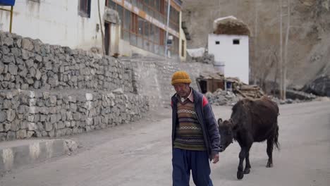 An-Old-Tibetan-Villager-and-his-Cattle-in-Key-Village-near-Spiti