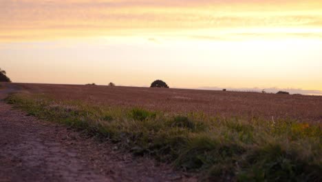 Dusty-dry-road-and-farmers-field-in-sunset-landscape-tilting-shot