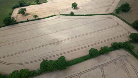 An-aerial-view-of-Wheat-fields-ready-for-harvest-on-land-in-Worcestershire,-England