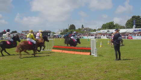 Royal-Cornwall-Show-2022-with-Shetland-Ponies-Racing-and-Jumping-Over-Hurdles-at-the-Grand-National-Debut