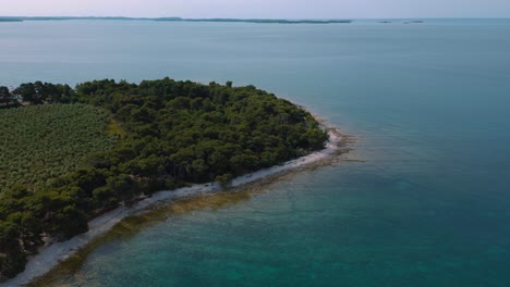Kroatien-Istrien-Küste-Mit-Klarem-Blauem-Und-Türkisfarbenem-Meereswasser-An-Einer-Natürlichen-Strandküstenbucht-In-Wald-Und-Kiefern