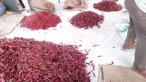 Ein-Chili-Pfeffer-Verkäufer,-Der-Sorten-Indische-Rote-Trockene-Chilis-Oder-Mirchi-Verkauft