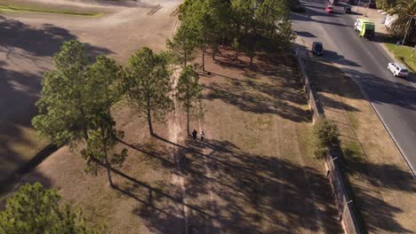 Aerial-top-down-shot-of-sportive-couple-running-on-path-in-park-in-La-Plata-sunlight