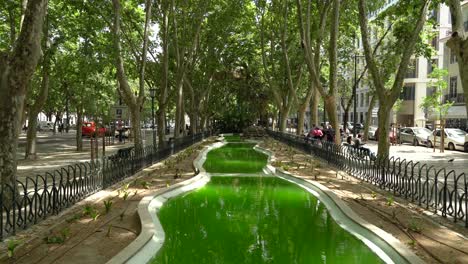 Green-Water-Pool-in-the-Middle-of-Avenida-da-Liberdade-in-Lisbon