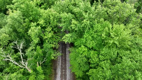 Aerial-view-of-a-railroad-track-running-through-the-bright-green-forest-in-the-spring