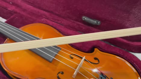 Viola-or-violin-bow-
