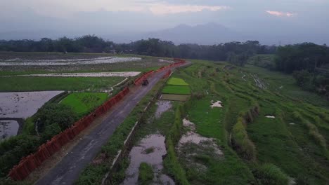 Luftaufnahme-Eines-Arbeiters-Mit-Pulverfahrzeug-Auf-Der-Straße-Zwischen-Reisfeldern-In-Indonesien