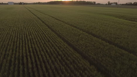 Epic-aerial-drone-shot-of-a-large-farm-field-in-Ohio-with-the-sun-setting-behind-it