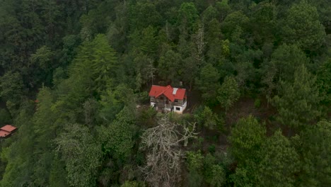 Isolated-alone-old-house-in-the-middle-of-green-tree-forest-background-and-in-the-woods-on-the-mountains-surrounded-nature