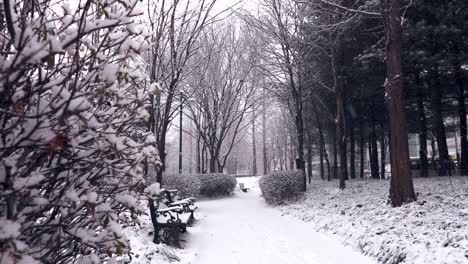 A-snowy-path-through-a-park