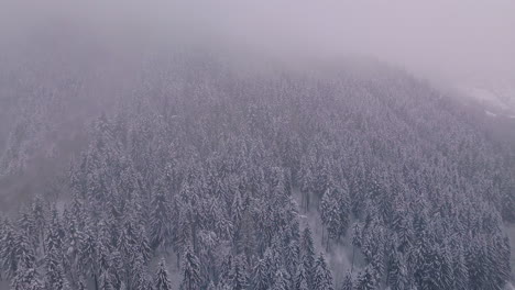 Drone-Volando-Hacia-Atrás-Por-Encima-De-Los-árboles-Cubiertos-De-Nieve-Que-Muestra-La-Belleza-Del-Invierno