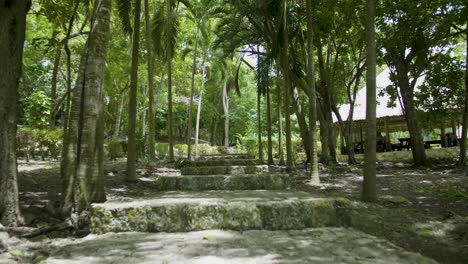 Ancient-Mayan-Ruin-Temple-Jungle-In-Lamanai-trail