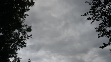 Nubes-Oscuras-Timelapse-árboles-En-Primer-Plano
