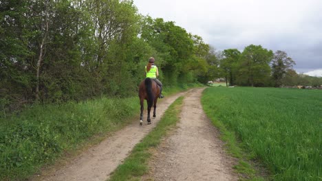Brown-horse-and-rider-riding-down-a-country-lane-next-to-a-field