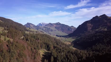 Un-Pequeño-Camino-Serpentea-A-Través-De-Los-Colores-Del-Otoño,-Hermoso-Bosque-De-Valle-De-Montaña-Toggenburg,-Suiza,-Aéreo