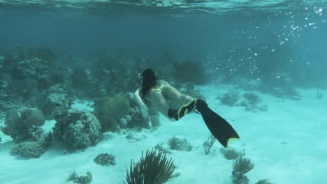Beautiful-Girl-Snorkeling-in-Caribbean-Ocean-Barrier-Reefs