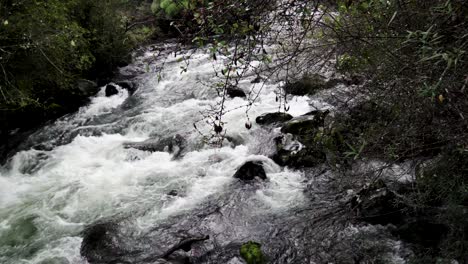 Panoramablick-Auf-Einen-Fluss-Im-Nationalpark-Alerce-Andino-Mit-Umgebender-Vegetation