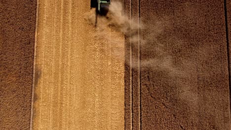 Harvest-time,-farmers-on-the-field-harvesting-whit-using-combain---Harvester--tractors-and-trailers