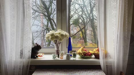 Neugierige-Schwarze-Katze-Sitzt-Während-Des-Wintertages-In-Kiew-Ukraine-Auf-Der-Fensterbank