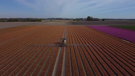 An-agricultural-machine-called-a-self-propelled-sprayer-on-a-tulip-bulb-field-drives-away-from-the-camera