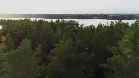 La-Isla-En-El-Lago-Baltiji-Lakajai,-Parque-Regional-Labanoras,-Lituania