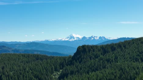 Aerial-shot-of-Mount-Baker-with-a-dense-forest-surrounding-it