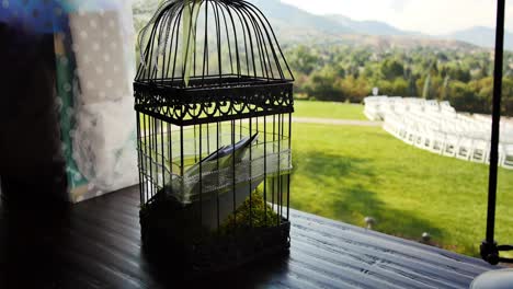Vintage-birdcage-as-card-holder-with-wedding-gifts