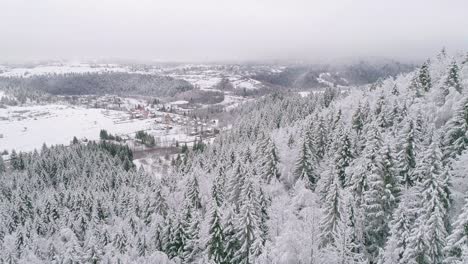 Luftaufnahme-über-Schneebedeckten-Kiefern,-Die-Im-Winter-Das-Dorf-Im-Hintergrund-Zeigen
