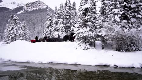 Schwarze-Pferde,-Die-Im-Winter-Schlitten-Am-Lake-Louise-In-British-Columbia-Ziehen