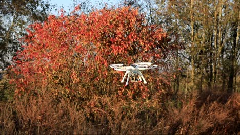Rc-Quadcopter-Walkera-Drohne-Mit-Einer-Actionkamera-Auf-Einem-Bürstenlosen-Gimbal