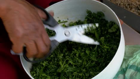 A-chef-cutting-and-dicing-coriander-in-a-bowl-close-up