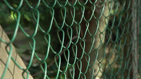 4K---Close-up-of-green-chainlink-fence