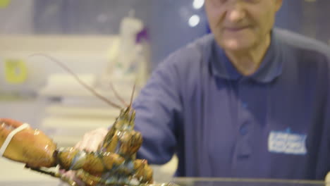 4k-footage-of-a-fishmonger-holding-up-a-live-lobster-at-a-market