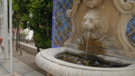 lion-fountain-on-an-overcast-day