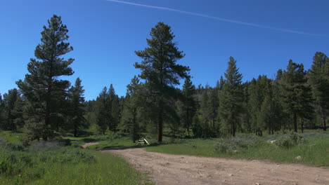 A-Wide-shot-of-a-dirt-road-leading-to-a-camp-site-in-the-Wasatch-Forest