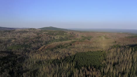 Scenic-Drone-Shots-of-the-Harz-National-Forest-at-sunset