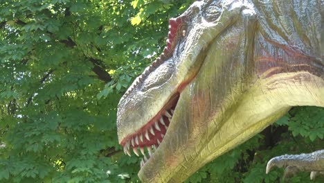 Dinosaurio-Tiranosaurio-Rex-Realista-En-Dino-Park-Cabeza-Y-Dientes
