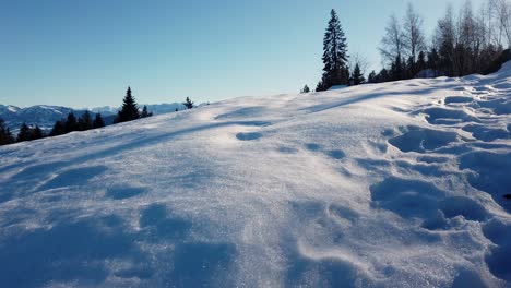 Ein-Schneehügel-An-Sonnigen-Tagen-Mit-Pinien-Und-Blauem-Himmel