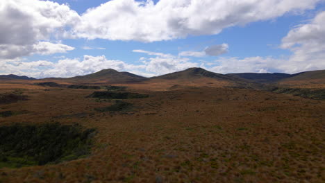 Paisaje-Salvaje-Cubierto-De-Arbustos-Marrones-En-La-Región-Sur-De-Nueva-Zelanda