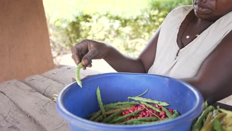 Lokale-Afrikanische-Schwarze-Frau,-Die-Rote-Kidneybohnen-Schält-Und-Kocht