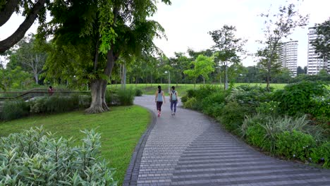Gente-Caminando-Temprano-En-La-Mañana-En-Los-Jardines-Del-Lago-Jurong,-Singapur