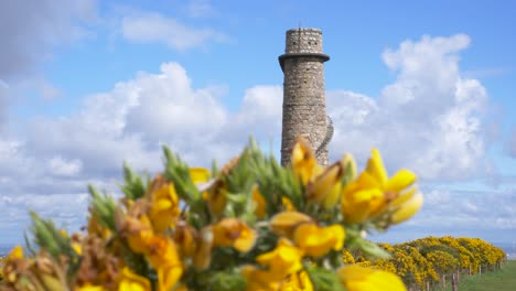 Ballycorus-leadmines-tower-Carrickgolligan-county-Dublin-Ireland